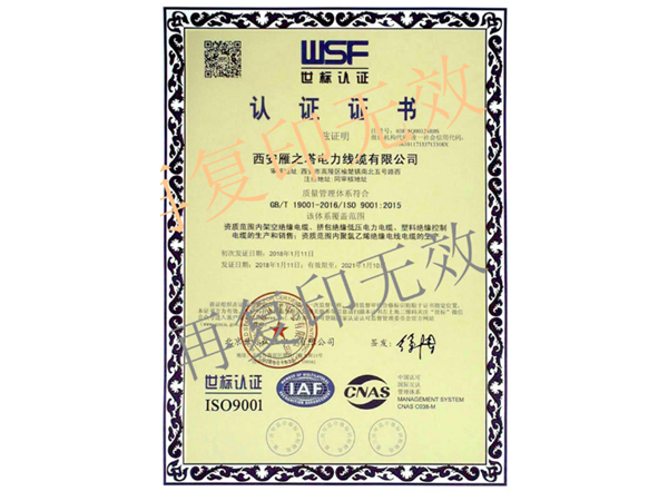 ISO9001世標認證2